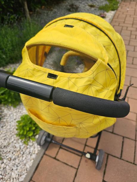 Kočík chipolino clarice+sieťka proti hmyzu, chipolino,chipolino clarice