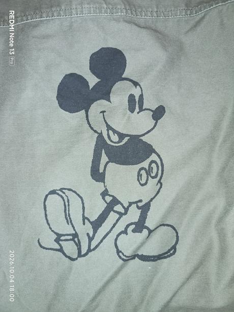Mickey, zara,140