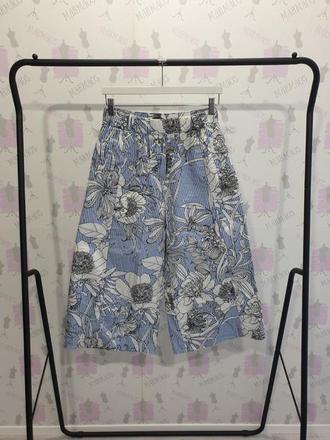 Cullotes zara, zara,s
