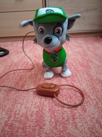 Chodiaci psík rocky z paw patrol,