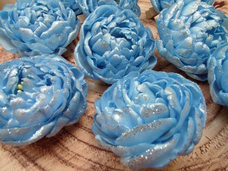 Zimná pivonka s kúzlom snehu a mrazu, 