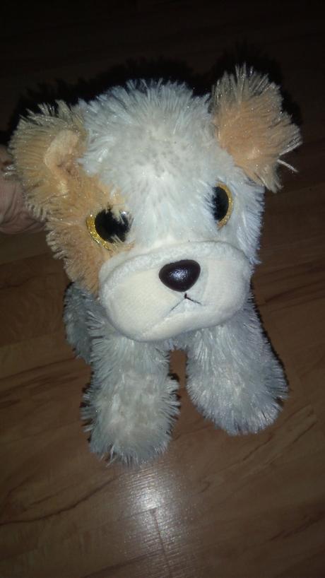 Šteniatko s trblietkami v očiach, 