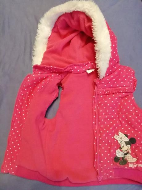 Vesta minnie, disney,104