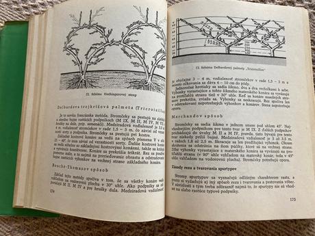 Stará kniha radíme záhradkárom čejka gustáv 1979,