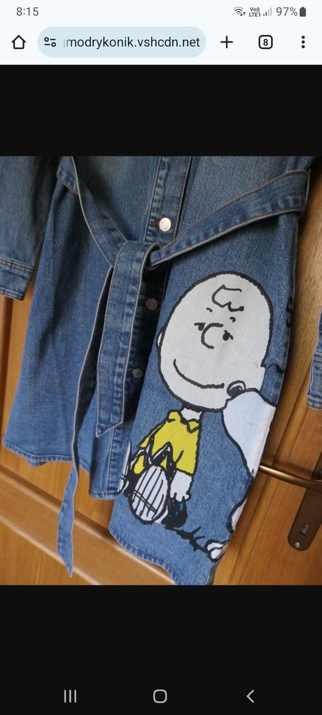 Neskutocny kabatik, m