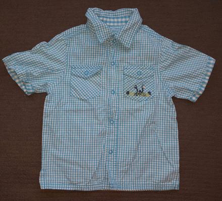 Kosela modra kocka, 92