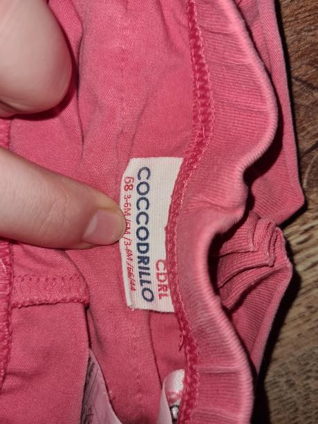 Legíny, coccodrillo,68