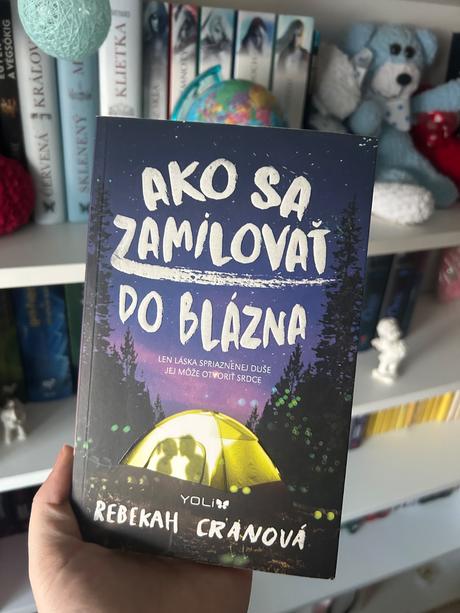 Ako sa zamilovať do blázna kniha, 