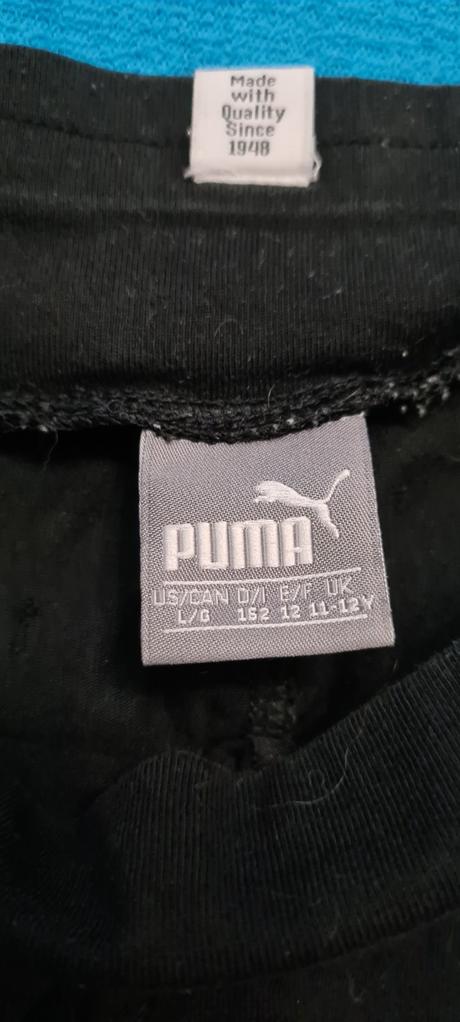 Kratke nohavice, puma,152