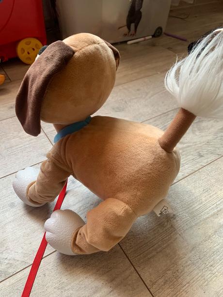 Floppy ťahací psík, 