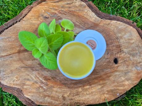 Nadchovniková mastička,