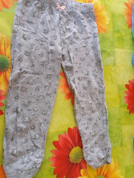 3/4tove leginky, 110