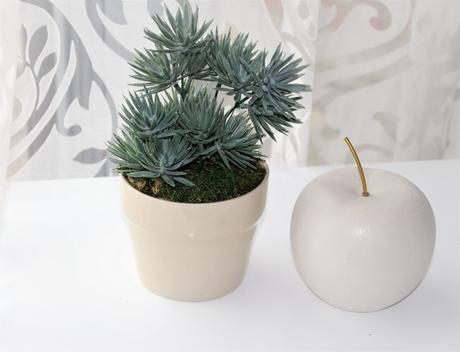 Dekoračný kvet-sukulent,