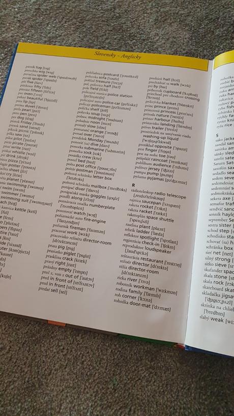 Ilustrovaný anglický slovník pre deti,