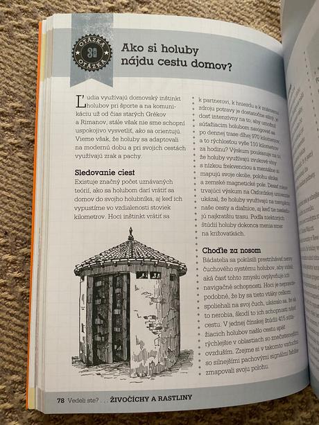 Vedeli ste otázky a odpovede ktoré vás zaskočia, 