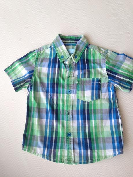 Zelena karovana kosela, rebel,86