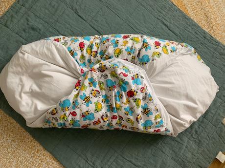 Paperova perinka eva kiedronova, 