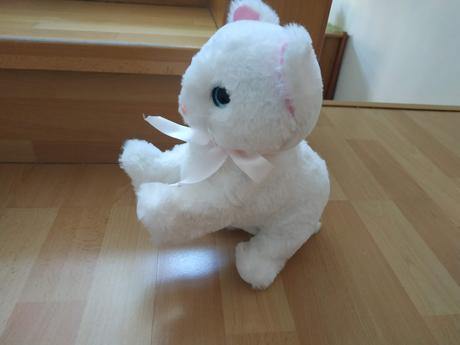 Mačička čo sa hýbe a mňauká, 