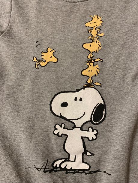 Mikinosaty zara 122, zara,122