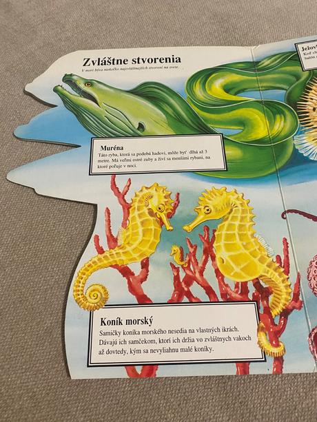 Morské zvieratá v malíčku text judy nayer ilus,