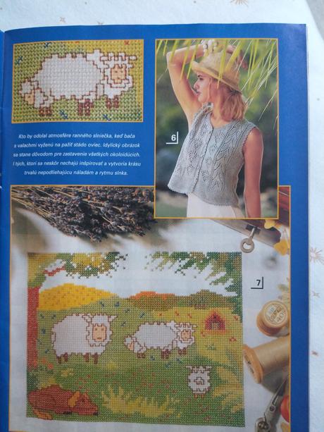 Letný magazín dorky 2/2002, 