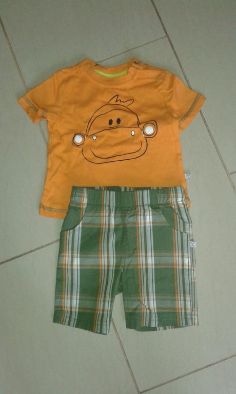 Suprava liegelind, nkd,74