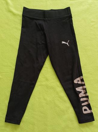 Legíny puma, puma,116