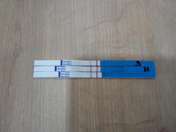 Test na 13. deň po KET