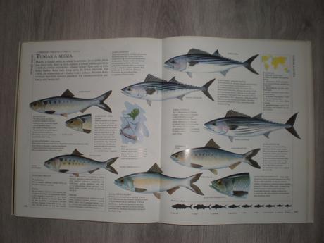 Kniha veľká obrázková encyklopédia rybárstva, 