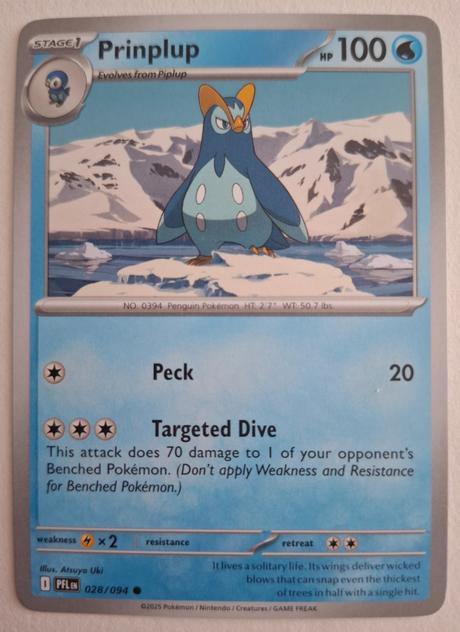 Pokémon karty "phantasmal flames" (1),