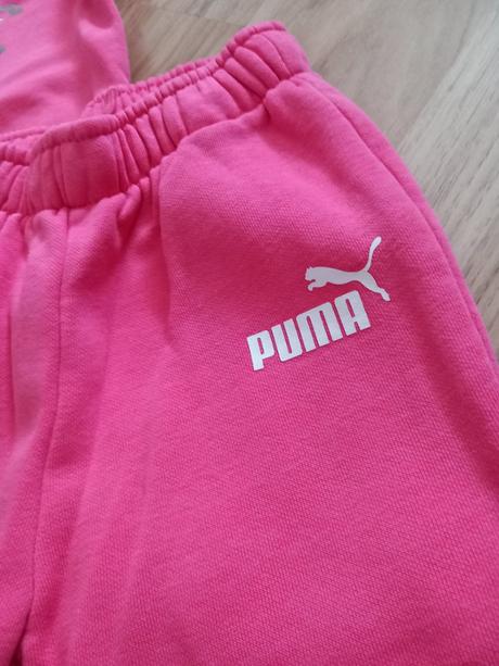 Suprava puma, puma,92