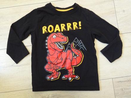 Tričko s dinosaurom, 104