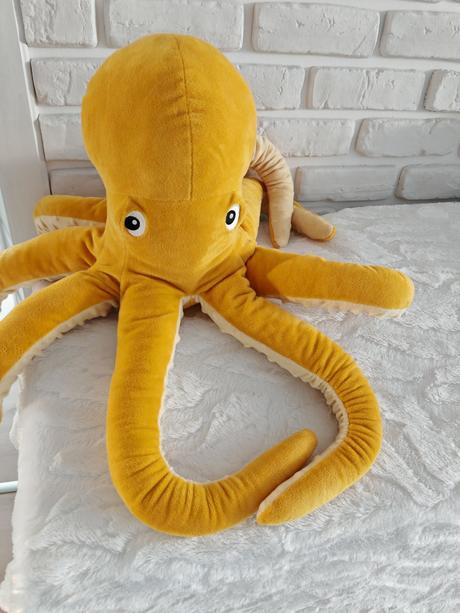 Makkučká chobotnica veľká, 