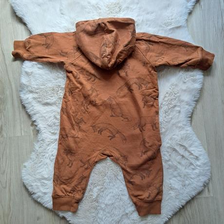 Overal newbie líšky, newbie,74