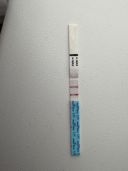 Je môj ovulačný test pozitívny?