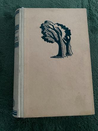 Gubranssen trygve. so smrtnej hory fúka,