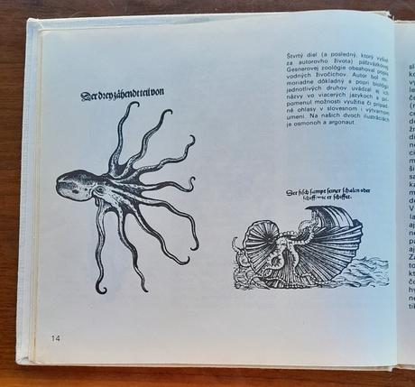 Stretnutia v hlbinách,