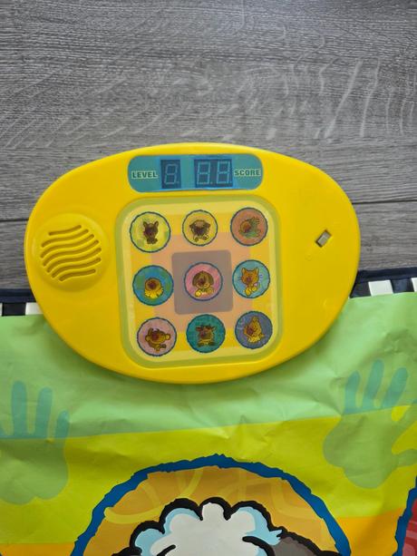 Animal dancing playmat, 