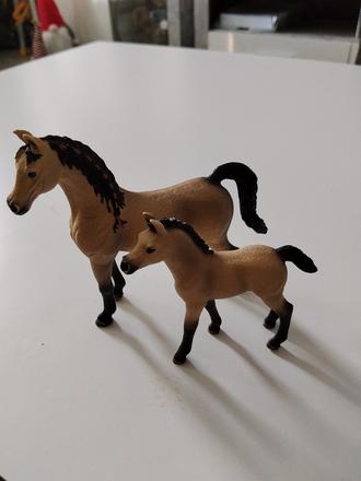 Schleich c.3, 