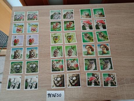 Pexeso-v lese,