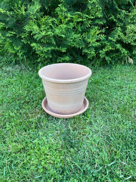 Terakotový kvetináč,