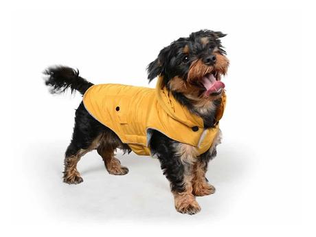 Oblečenie pre malého psíka, 