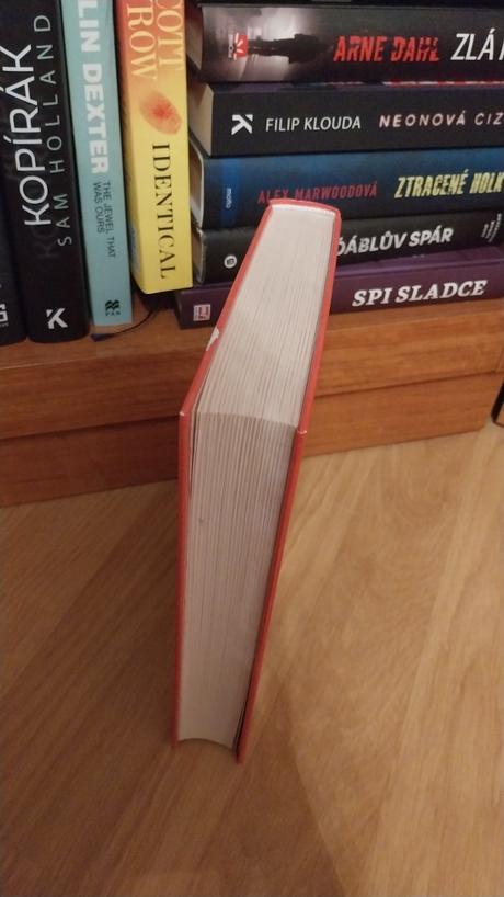 Neľutujem nič - colleen hoover,