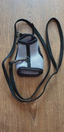 Voditko na prechadzky pre potkanika, 