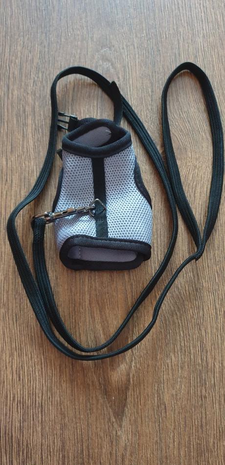 Voditko na prechadzky pre potkanika, 