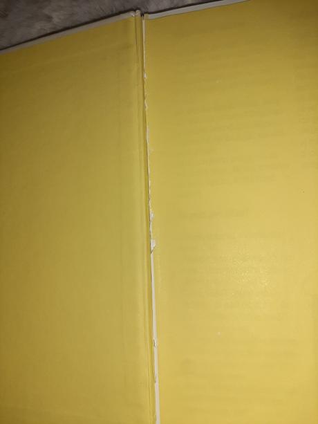 Príručka mladých svišťov 1 a 2 walt disney, 