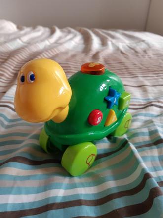 Korytnacka na kolieskach,