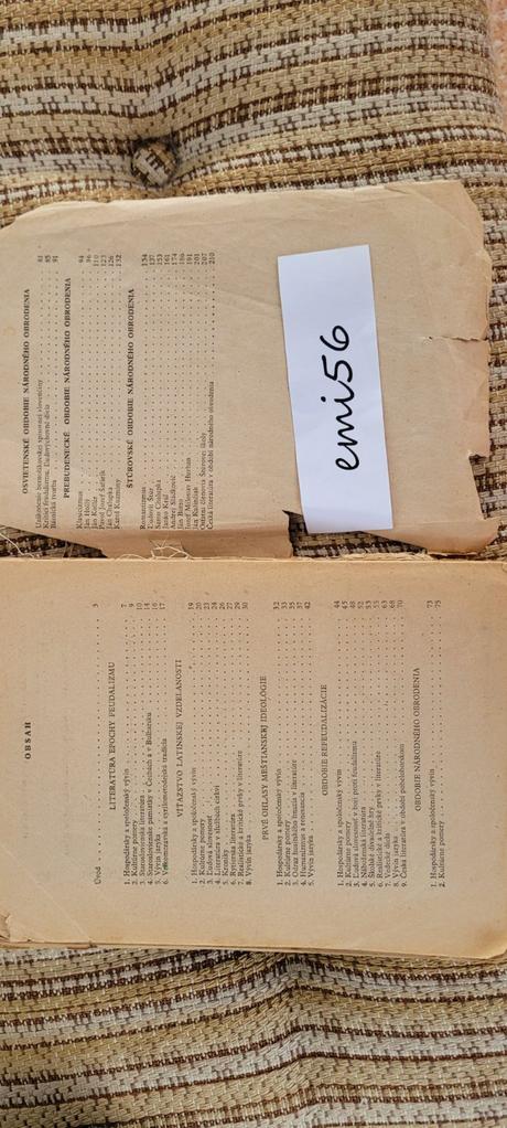 Slovenská literatúra r. 1955,