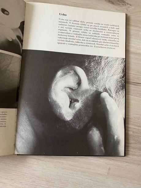 Krásna kniha čakáme dieťatko,