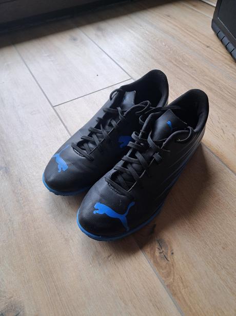 Halovky, puma,41